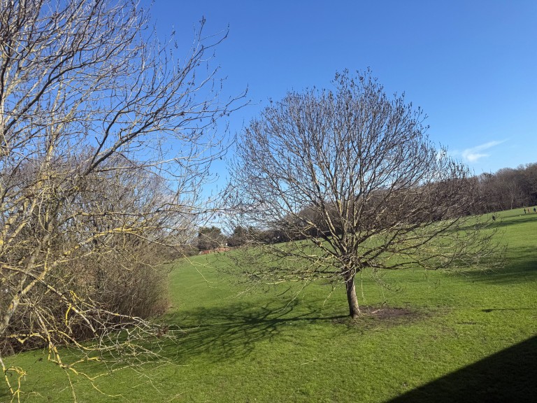 Images for Eden Park Avenue, Beckenham