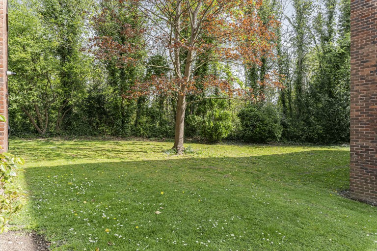 Images for Beech Copse, South Croydon